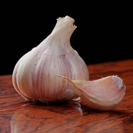 Garlic Bulb ingredient in PressureCalmX for heart and circulation support