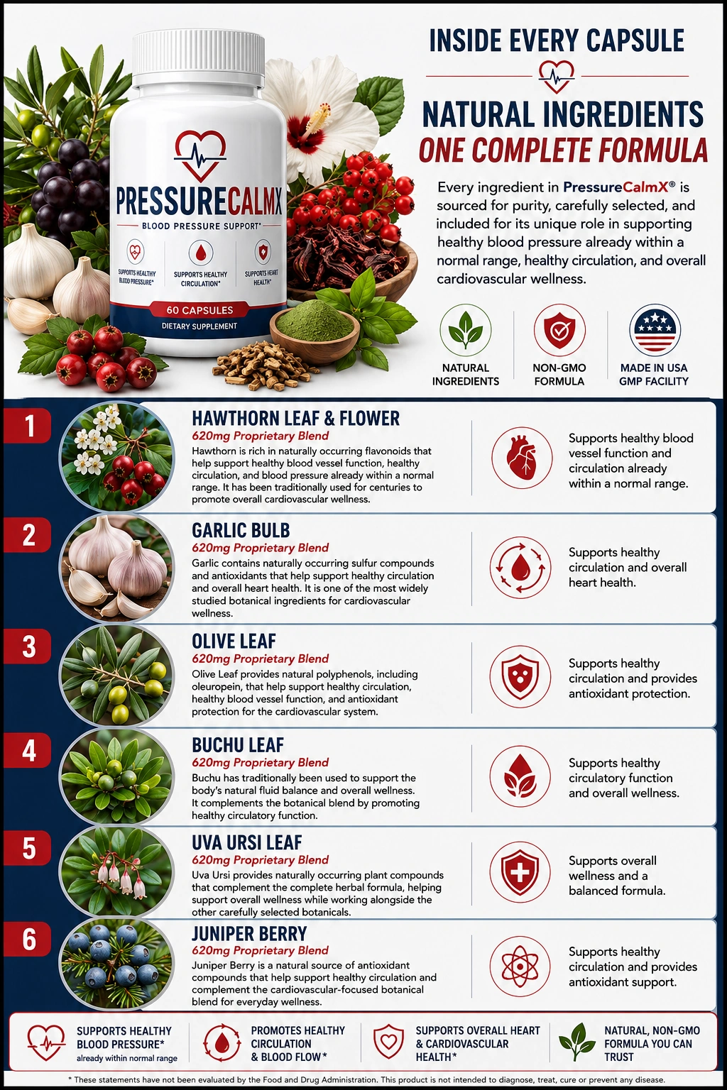 A No-Nonsense Guide to Choosing a Blood Pressure Supplement